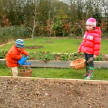 vegetable garden